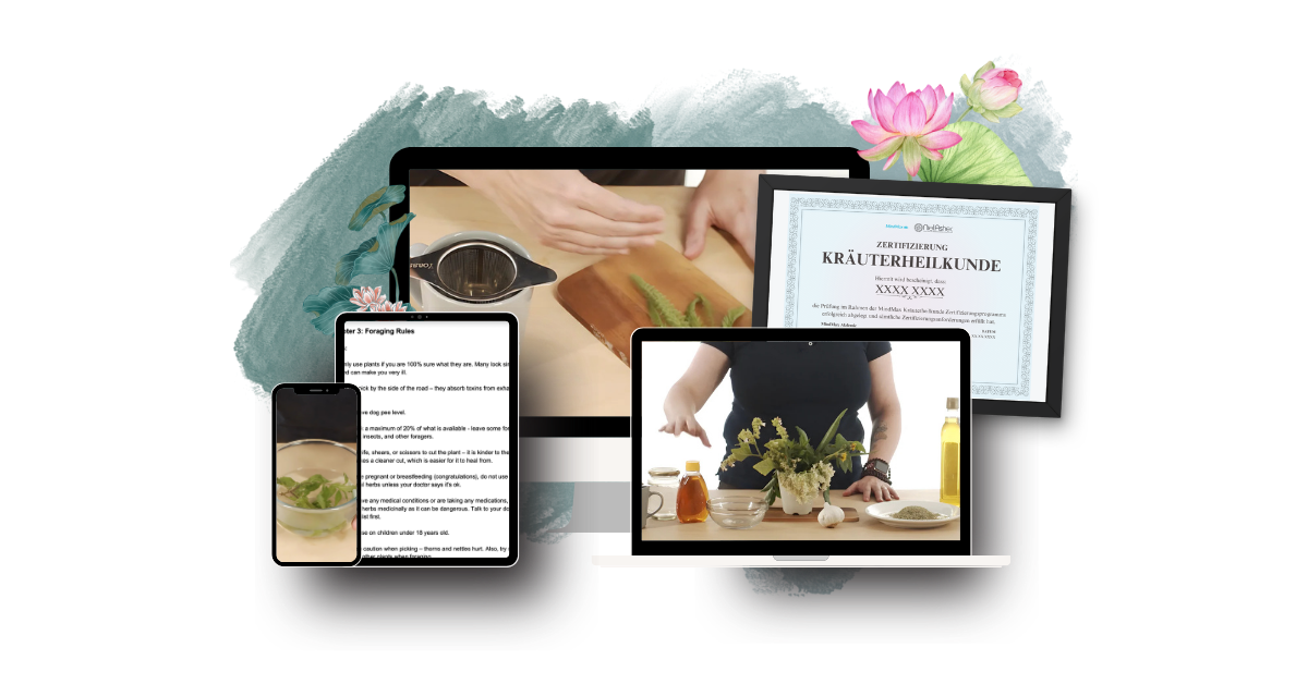MindMax Akademie Lernplattform