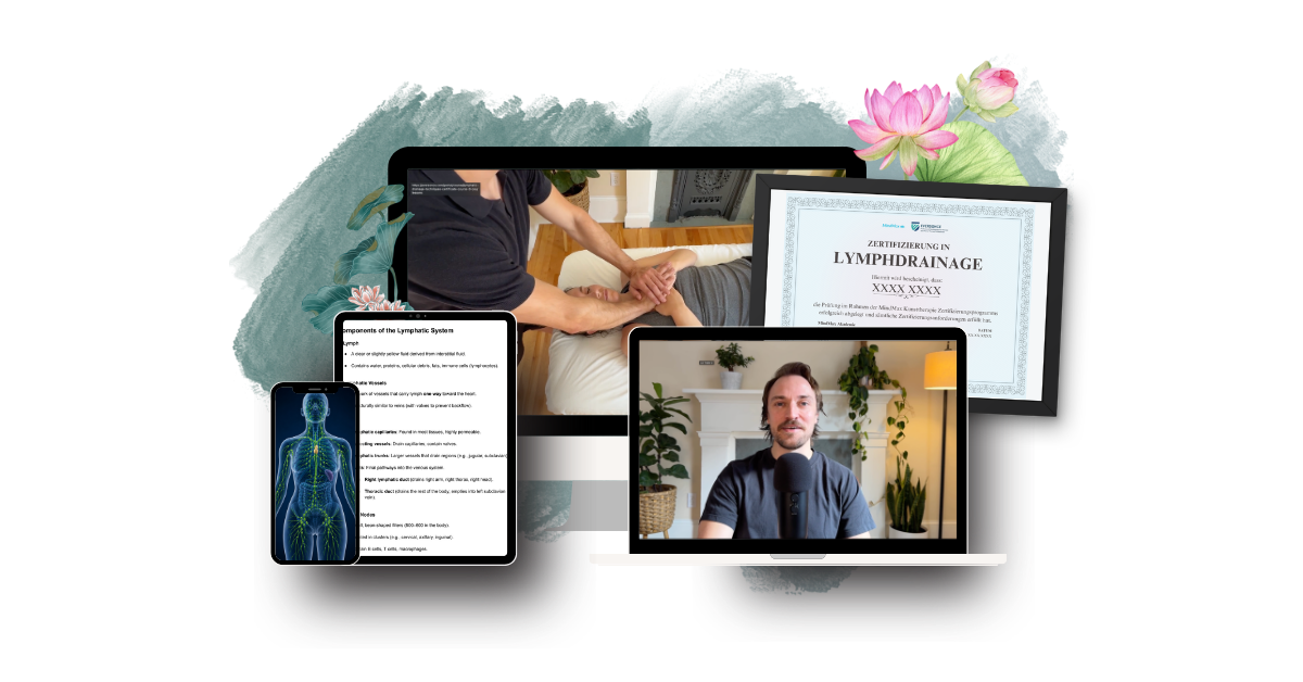 MindMax Akademie Lernplattform