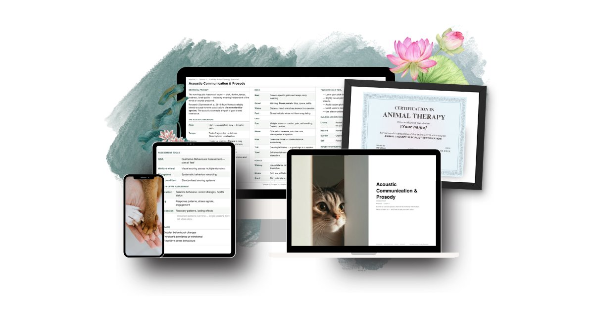 MindMax Academy platform