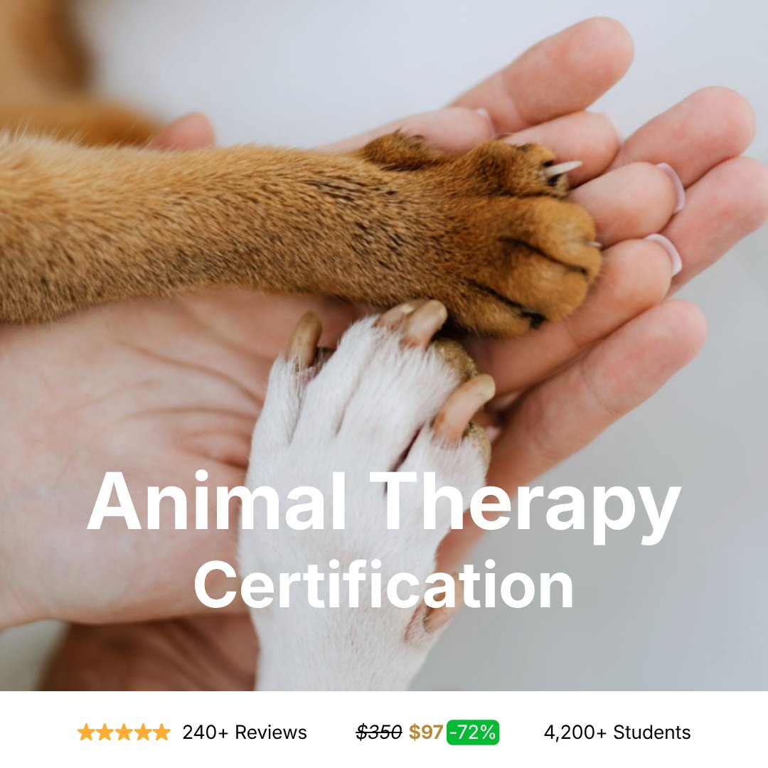 Animal Therapy Certification