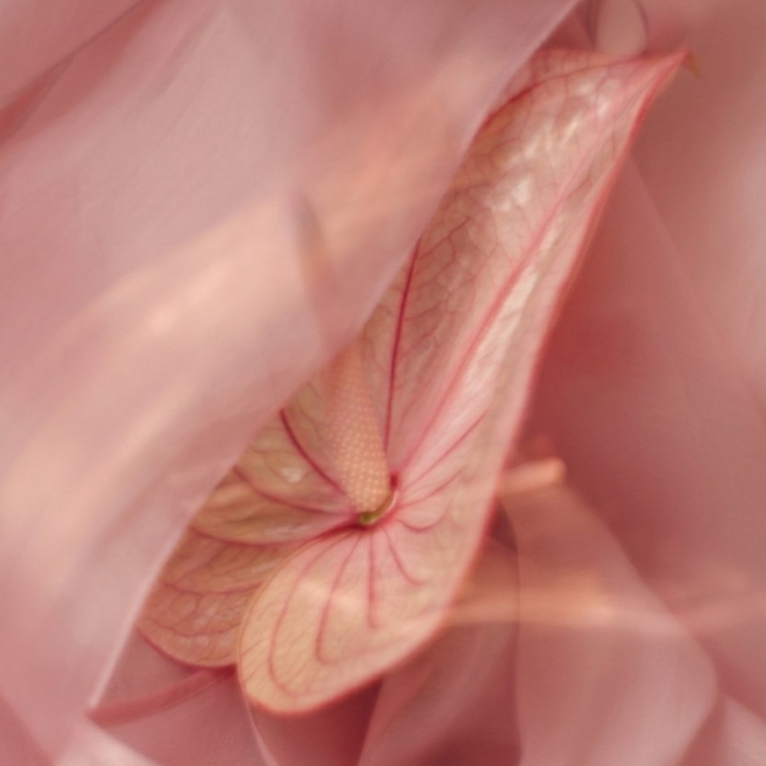 Masaje Tantra Coaching