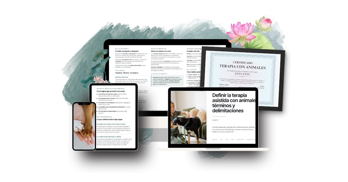 Plateforme MindMax Académie