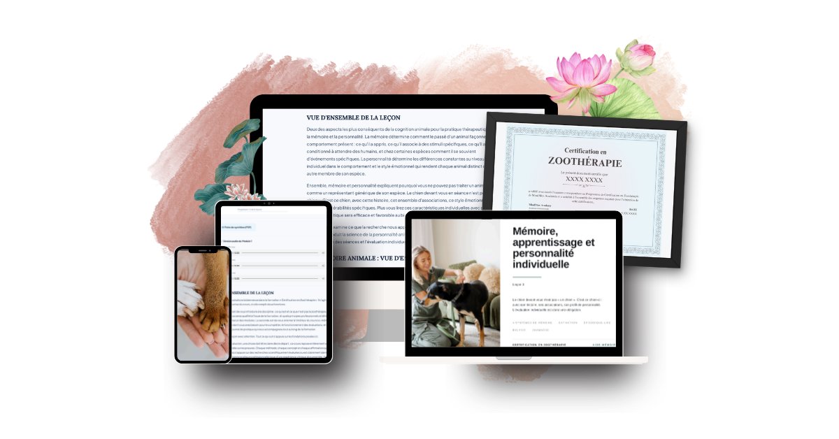 Plateforme MindMax Académie